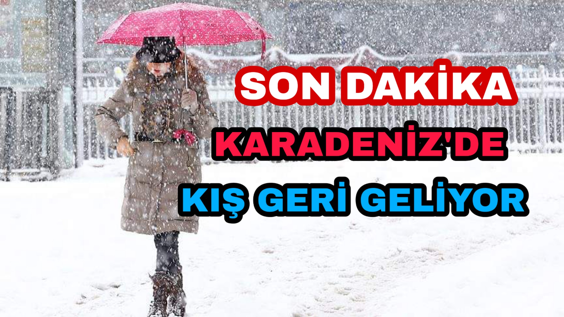 PicsArt_03-15-03.09.41