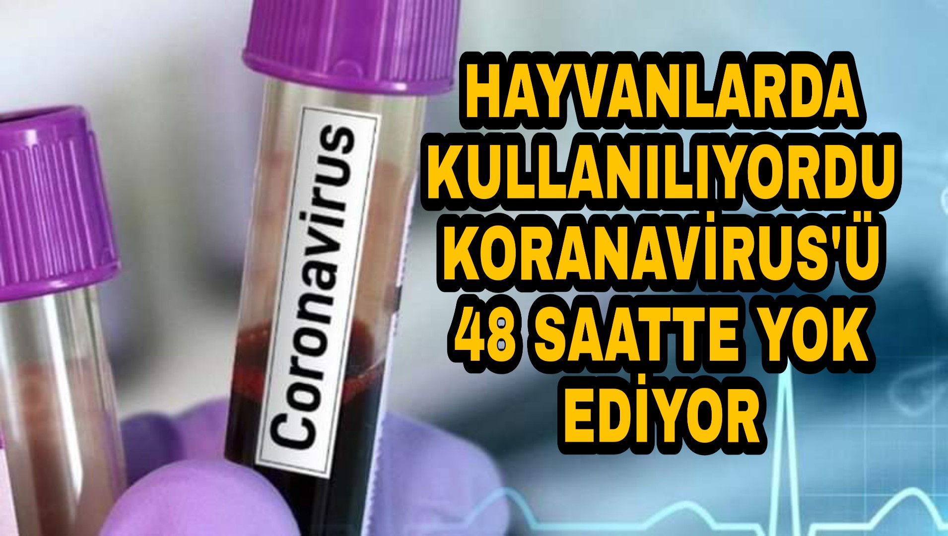 PicsArt_04-06-11.11.36