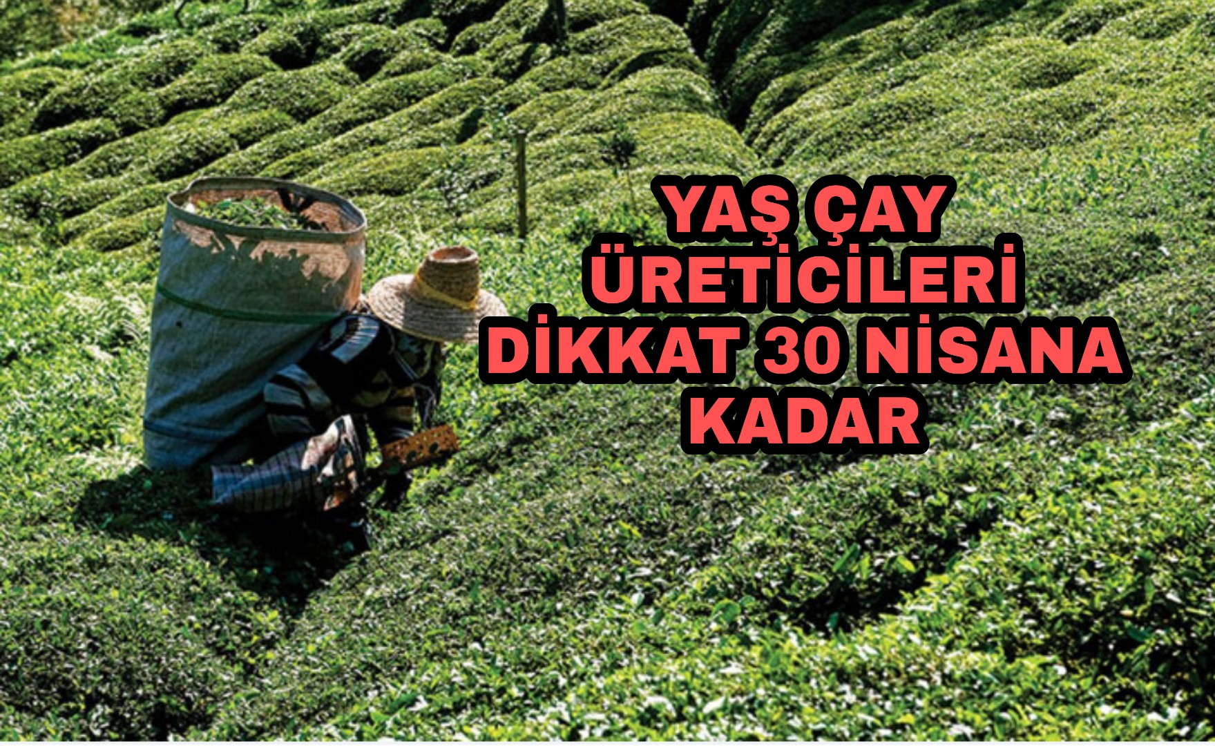 PicsArt_04-15-07.12.56