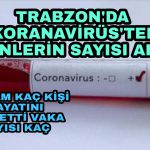 PicsArt_04-20-08.20.34