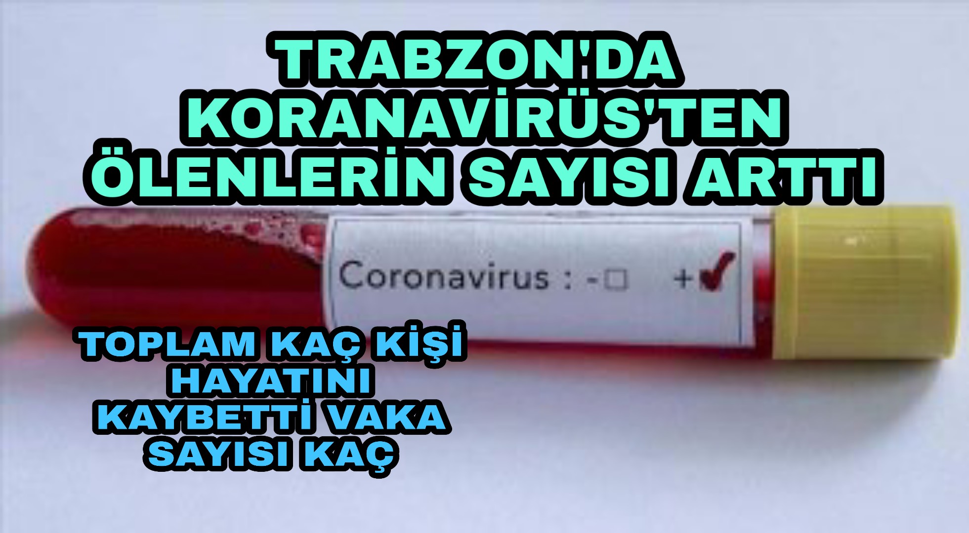 PicsArt_04-20-08.20.34