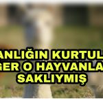 PicsArt_05-06-11.56.14