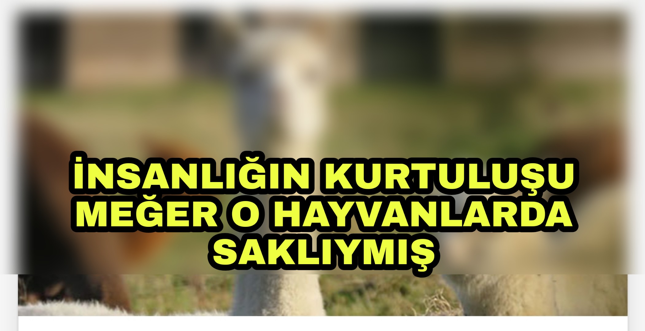 PicsArt_05-06-11.56.14