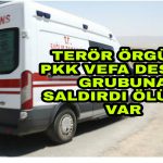 PicsArt_05-14-03.42.49