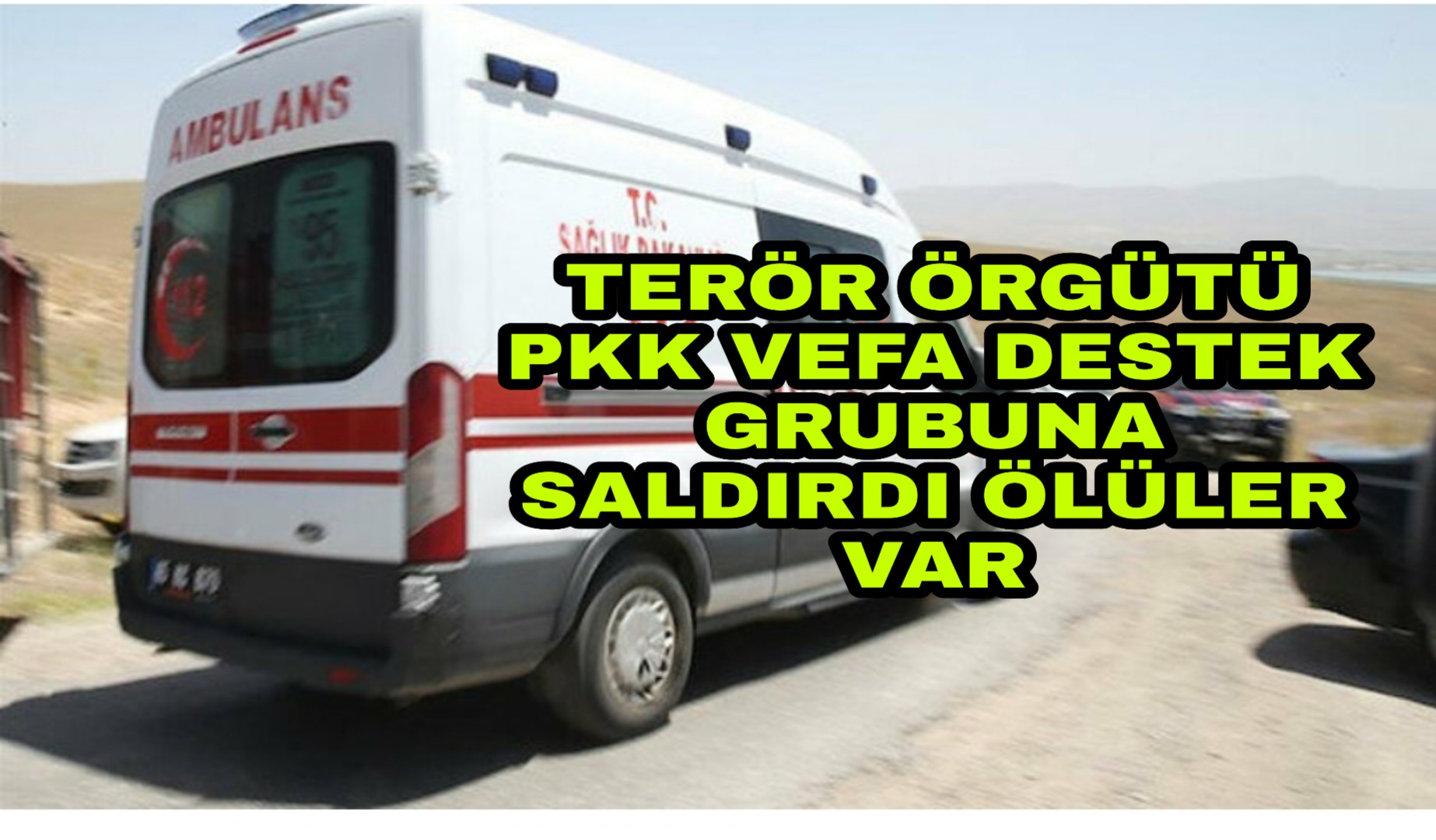 PicsArt_05-14-03.42.49