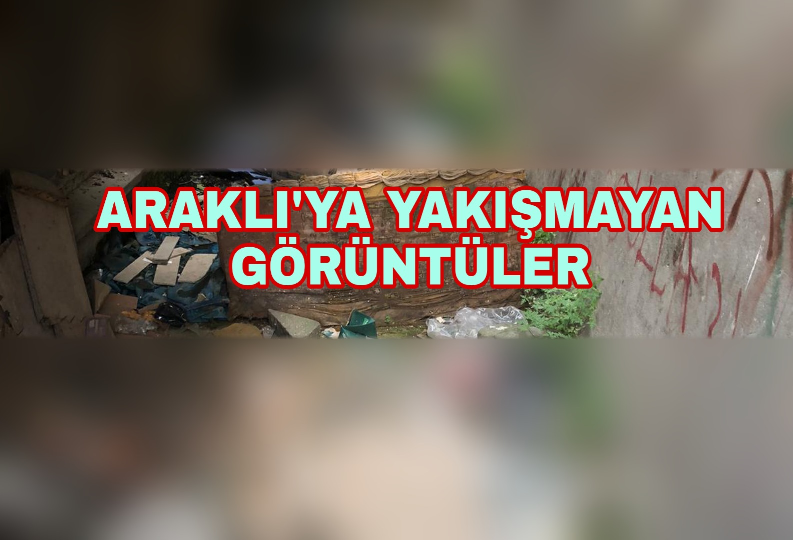 PicsArt_07-08-05.53.26