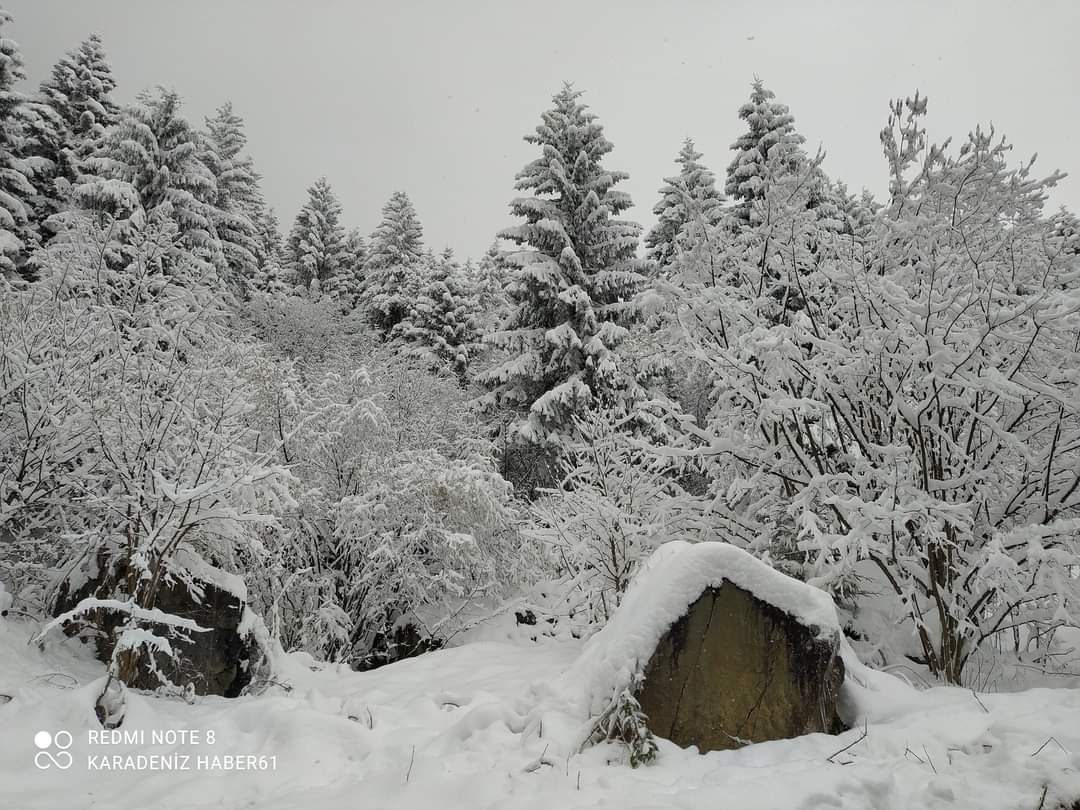 FB_IMG_1634994303806