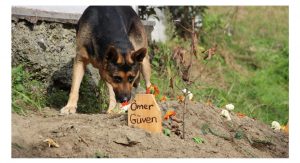 2021-11-04-14-13-59-085