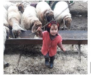 2021-11-19-17-04-50-387