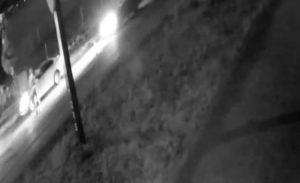 FB_IMG_1637478879316