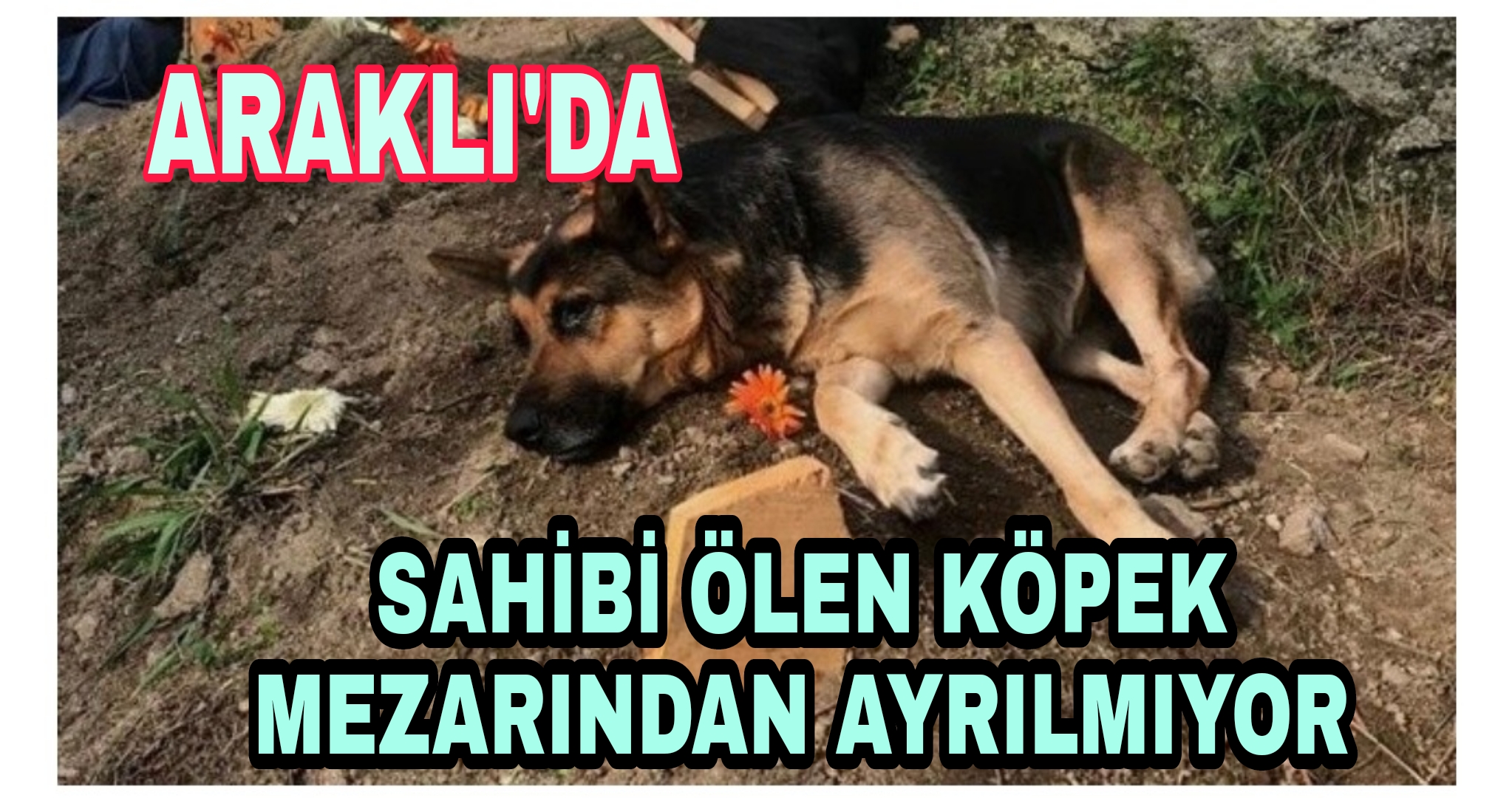 PicsArt_11-04-02.16.32