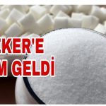 PicsArt_11-15-11.19.46