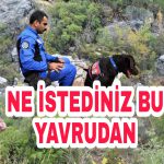 PicsArt_11-19-05.14.12