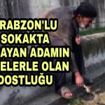 Trabzon’lu Yalnız Yaşayan adamın Farelerle olan dostluğu