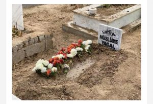 PicsArt_11-20-05.41.05