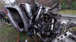 FB_IMG_1639474216592