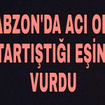 PicsArt_12-13-10.42.41