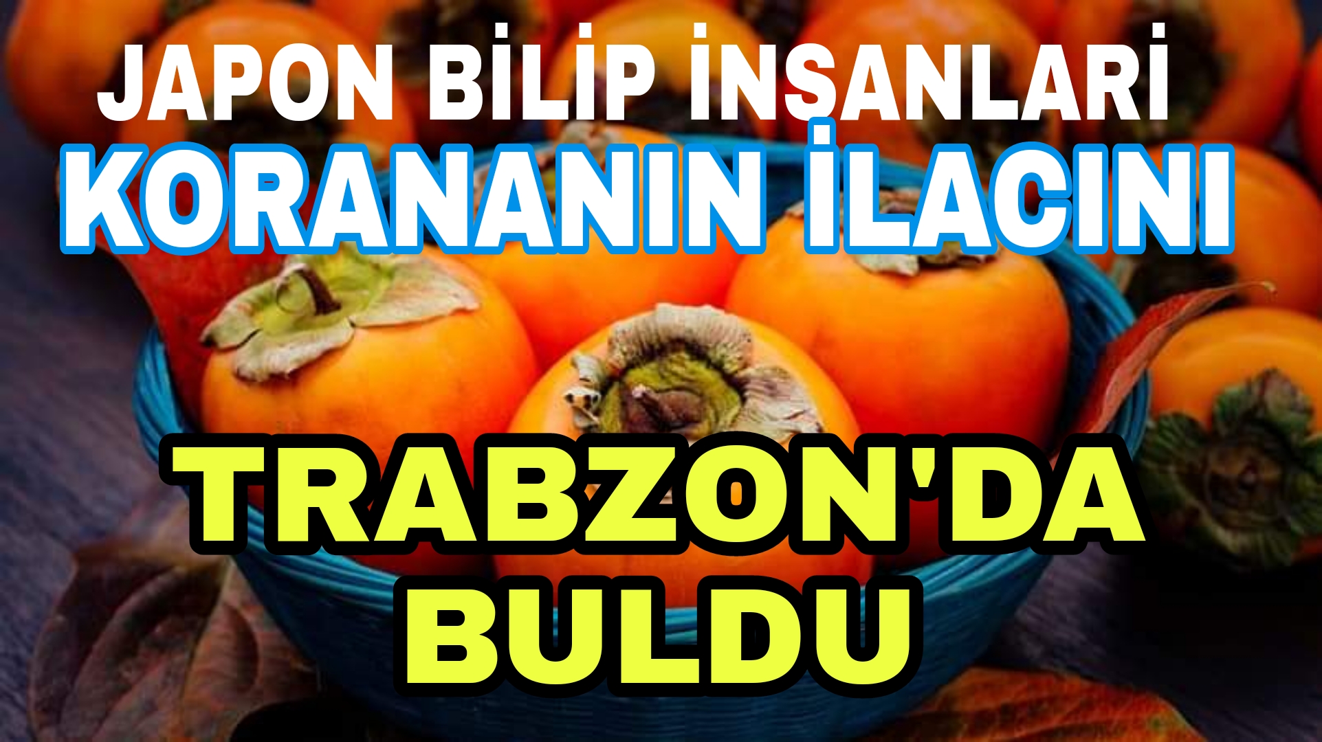 PicsArt_12-16-03.03.01