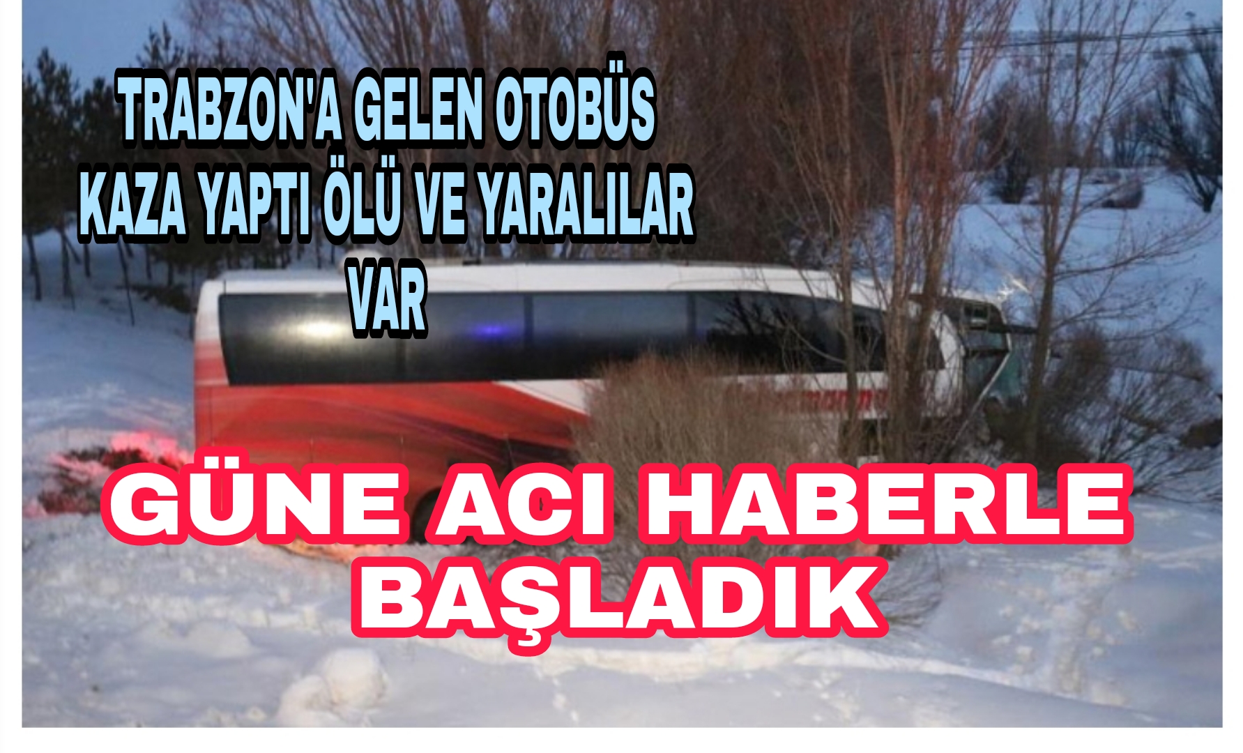 Picsart_22-01-08_09-51-51-019