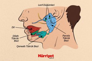 620b9fc74e3fe0066867ca5e