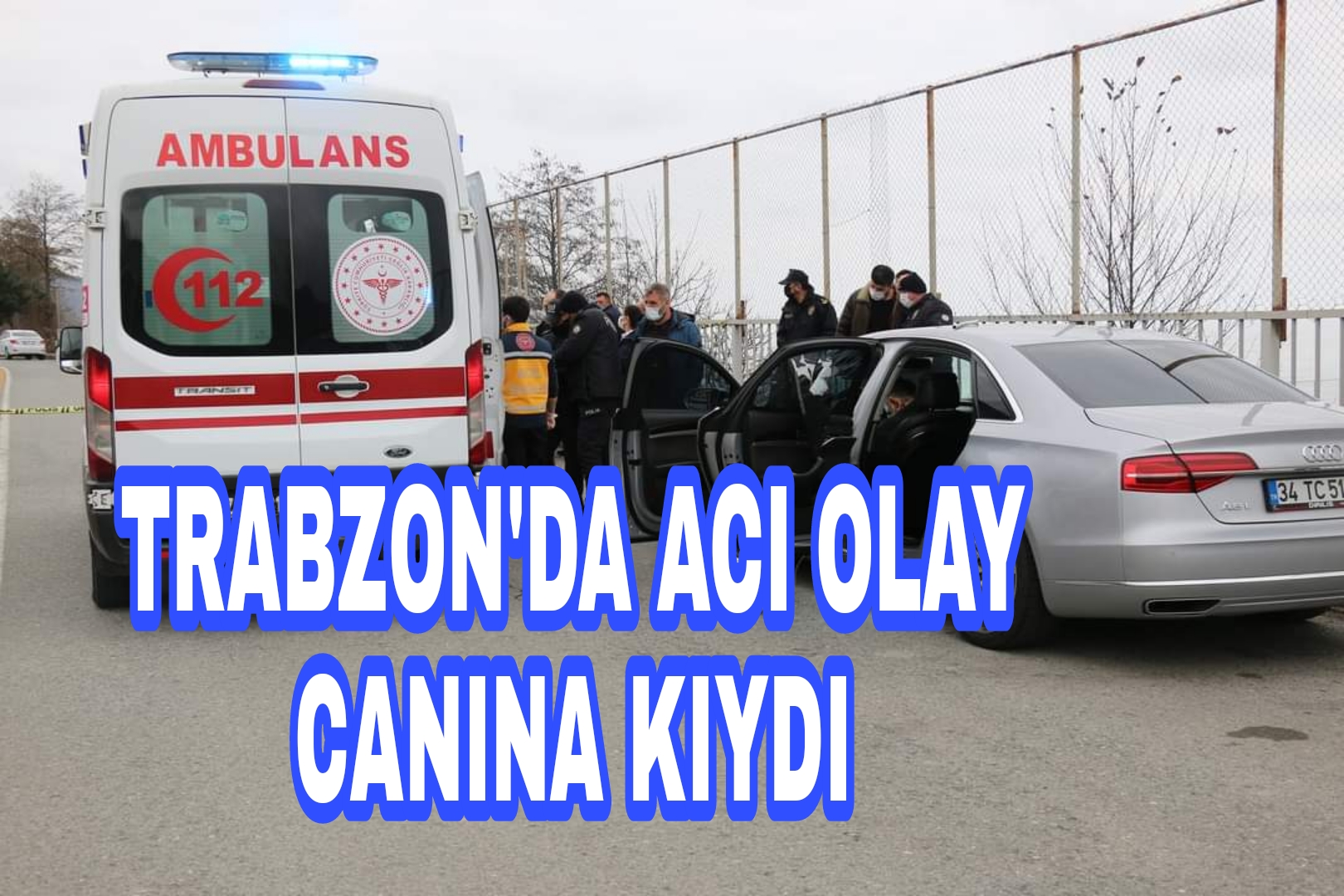 Picsart_22-02-15_18-15-47-589