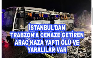 Picsart_22-02-19_13-25-44-435