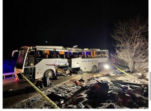 Picsart_22-02-19_13-26-14-689