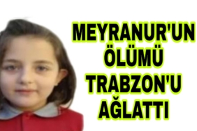 Picsart_22-05-09_10-43-26-744