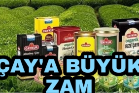 Picsart_22-05-16_11-32-49-235