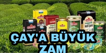 Picsart_22-05-16_11-32-49-235