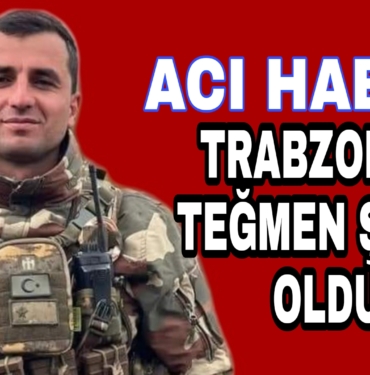 Picsart_22-07-17_18-08-21-999