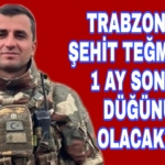 Picsart_22-07-17_18-55-35-918