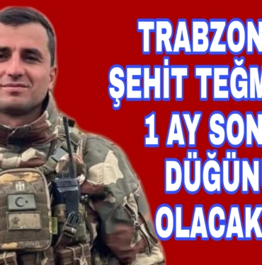 Picsart_22-07-17_18-55-35-918