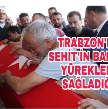 Picsart_22-07-18_18-18-15-785