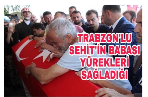 Picsart_22-07-18_18-18-15-785