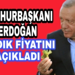 Picsart_22-07-30_19-44-34-653