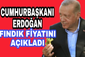 Picsart_22-07-30_19-44-34-653