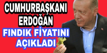 Picsart_22-07-30_19-44-34-653