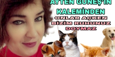 Picsart_22-08-24_11-51-26-681