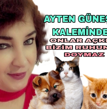 Picsart_22-08-24_11-51-26-681