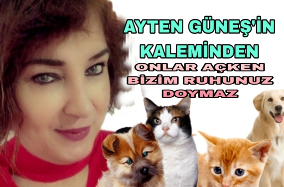Picsart_22-08-24_11-51-26-681