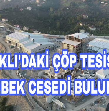 Picsart_22-09-11_10-44-38-444