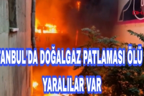 Picsart_22-10-09_21-07-03-816