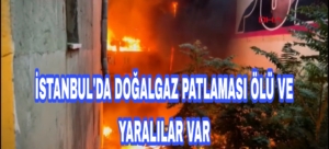 Picsart_22-10-09_21-07-03-816