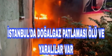 Picsart_22-10-09_21-07-03-816