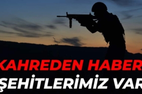 FB_IMG_1669485146787