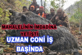 Picsart_22-11-26_17-55-13-006