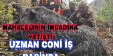 Picsart_22-11-26_17-55-13-006