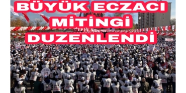 Picsart_22-11-29_10-10-50-922