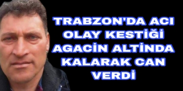 Picsart_22-11-30_17-05-03-694